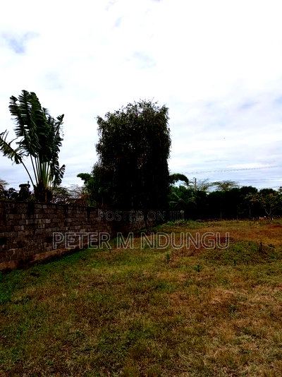 Prime Residential Plot 1/2 Acre Garden Estate - Image 5