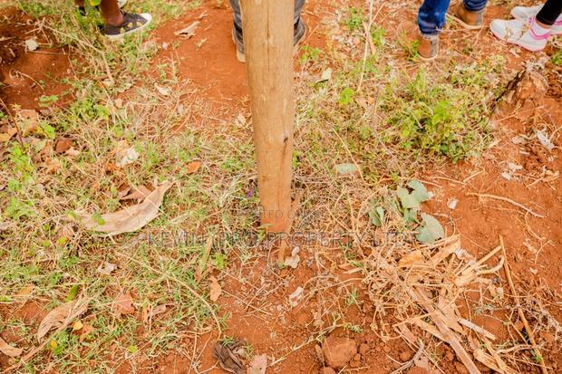 Prime Residential Plots for Sale in Kikuyu, Gikambura - Jambu Tv.