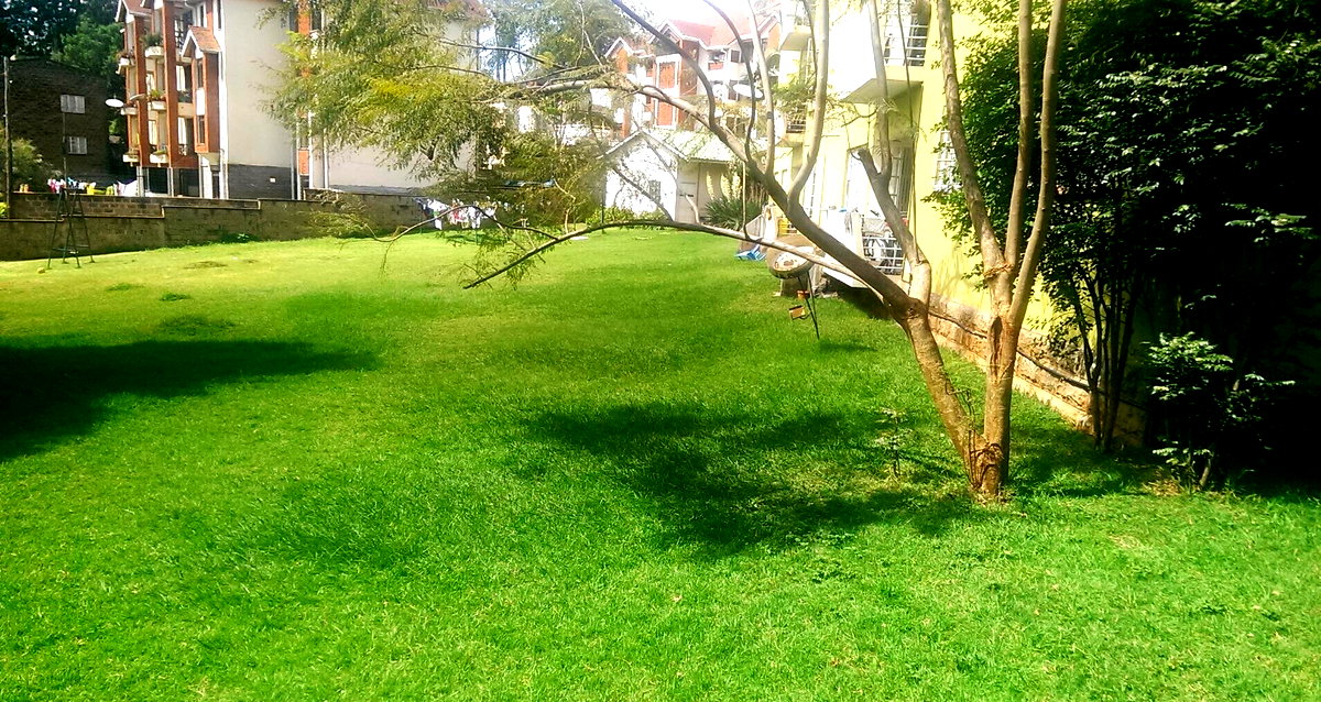 1 Acre Westlands Plot with Garden