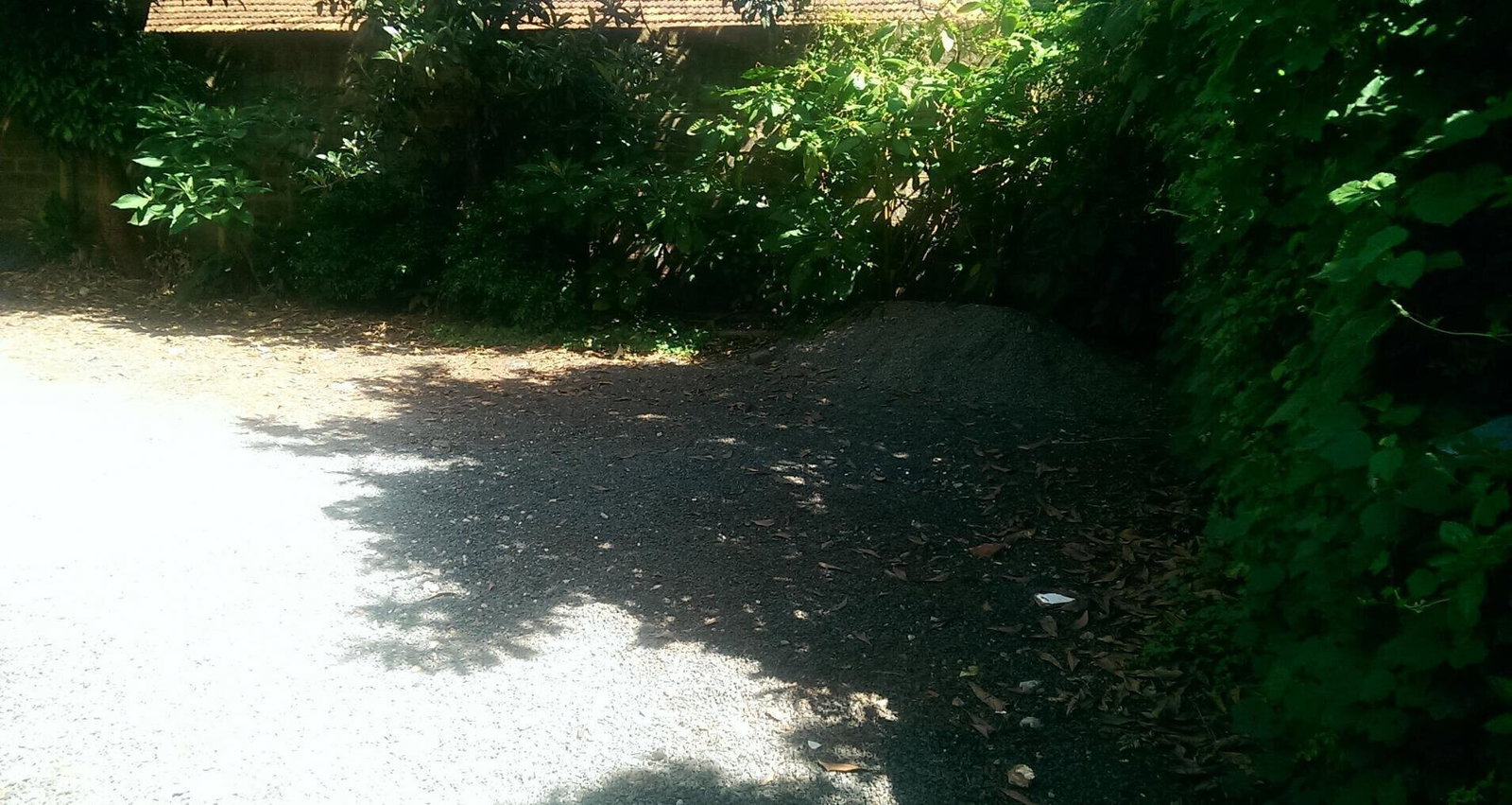 1 Acre Westlands Plot with Garden