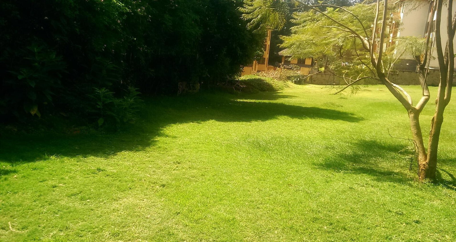 1 Acre Westlands Plot with Garden