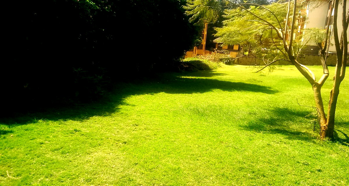 1 Acre Westlands Plot with Garden