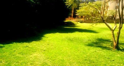 1 Acre Westlands Plot with Garden