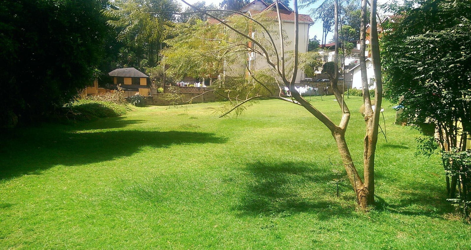1 Acre Westlands Plot with Garden
