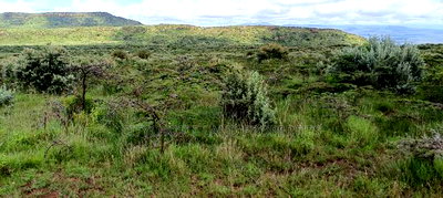 Kikuyu 50x100 Plot for Sale in Karai - Image 3