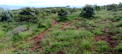 Kikuyu 50x100 Plot for Sale in Karai - Image 1