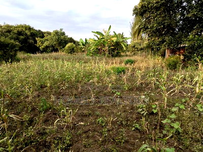 One Acre Piece of Land in Ngong, Olkeri Good Location - Image 2