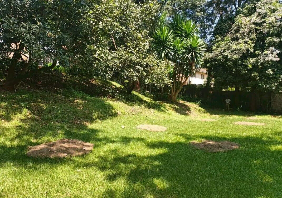 ¾-Acre Bungalow with Renovation Potential - Kyuna Estate