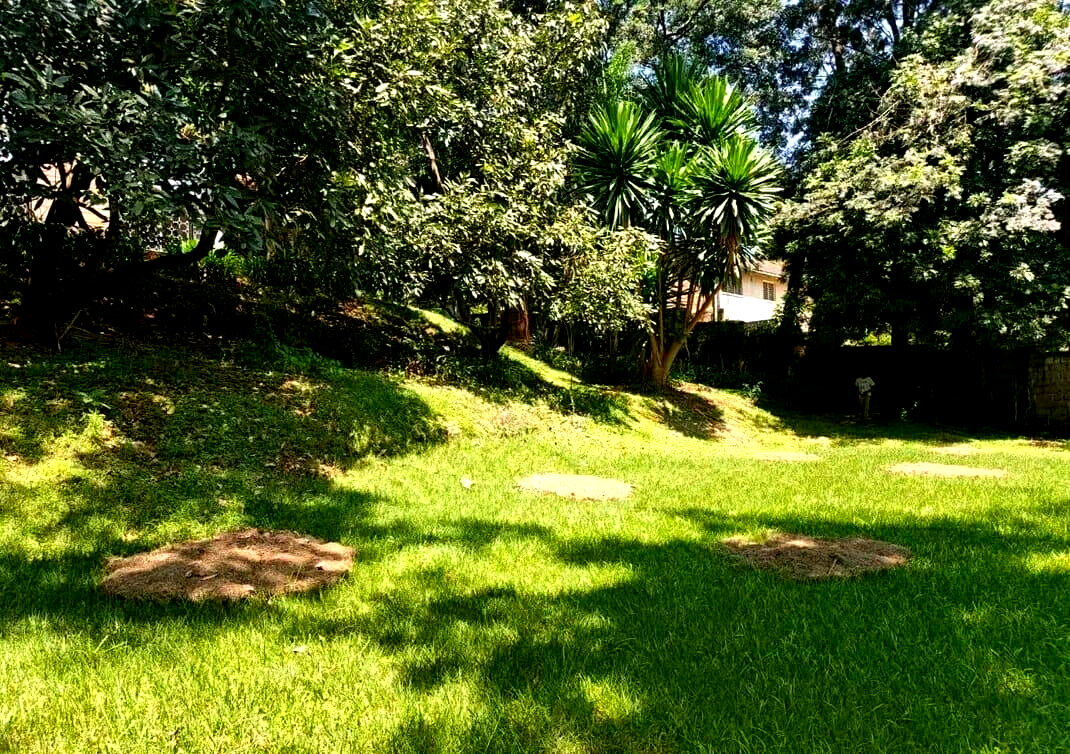 ¾-Acre Bungalow with Renovation Potential - Kyuna Estate