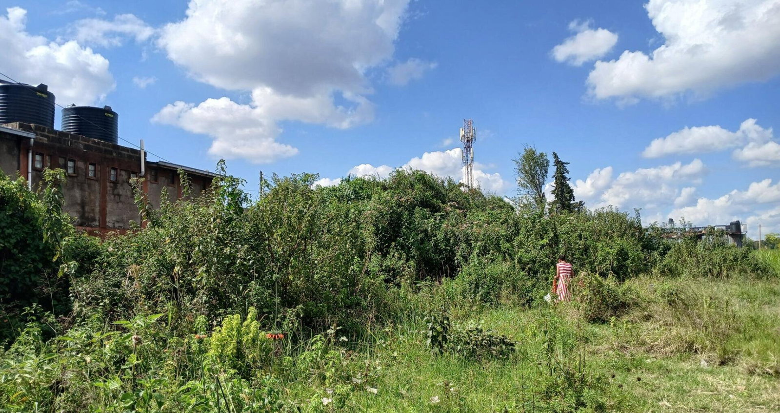 Quarter Acre Langata Gem at KSh 45M