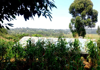 Garden Plot at KSh 6M