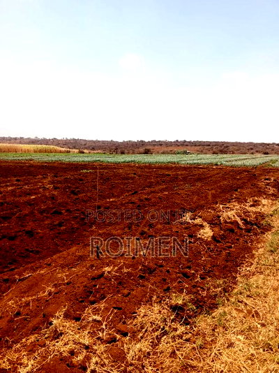 6 Acres,5 Km From the Tarmac - Image 4