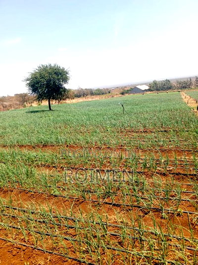 6 Acres,5 Km From the Tarmac - Image 8