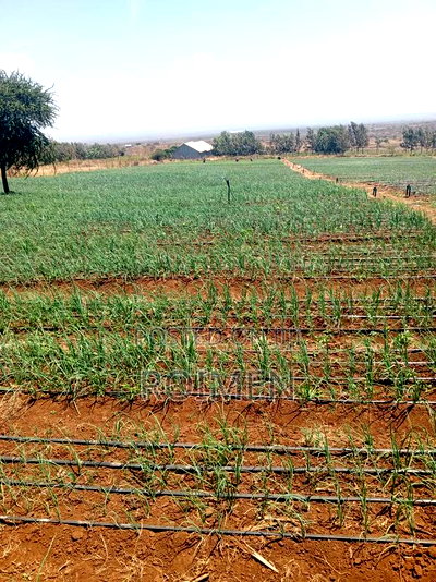 6 Acres,5 Km From the Tarmac - Image 7