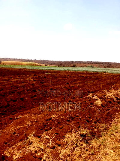 6 Acres,5 Km From the Tarmac - Image 2