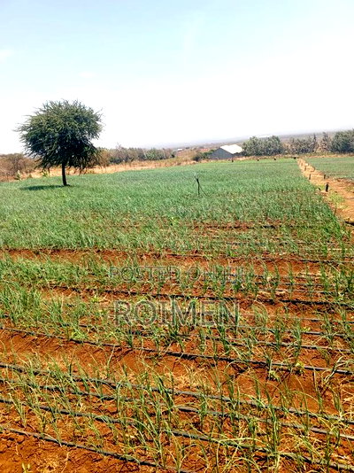 6 Acres,5 Km From the Tarmac - Image 6