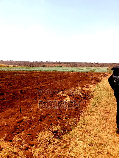 6 Acres,5 Km From the Tarmac - Image 5