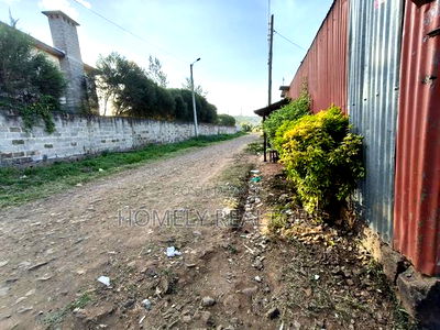Commercial Quarter Acre Plot for Sale in Kerarapon Drive, Ngong - Image 4