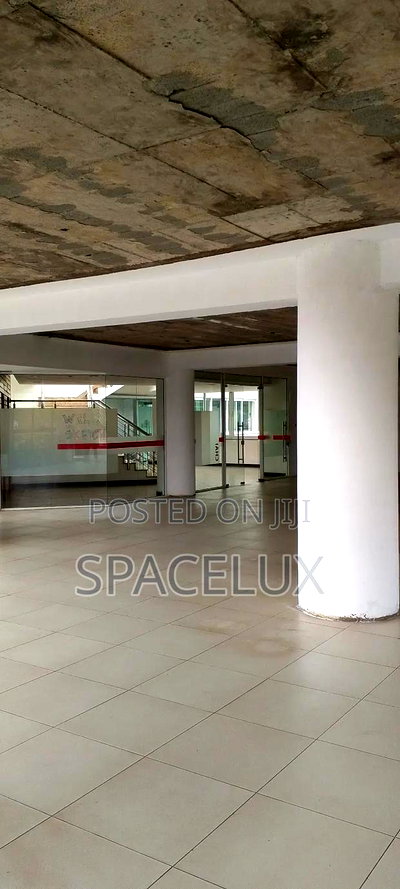 Executive Professional Office - Image 7