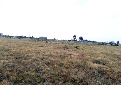 Quarter Acre Garden Plot in Kitengela