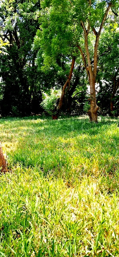 For Sale One Eighth Plot Mtwapa. - Image 3