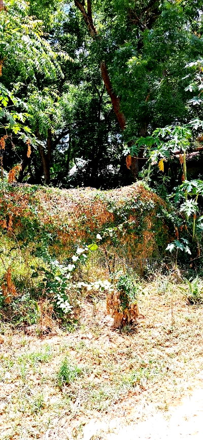 For Sale One Eighth Plot Mtwapa. - Image 5