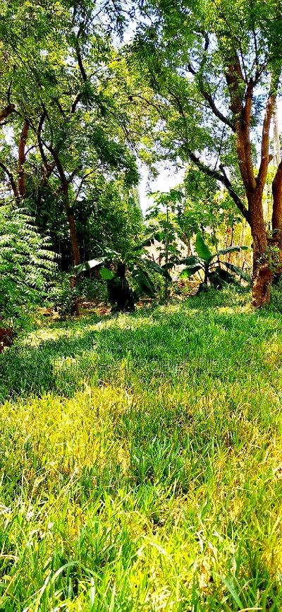 For Sale One Eighth Plot Mtwapa. - Image 6