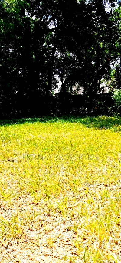 For Sale One Eighth Plot Mtwapa. - Image 4