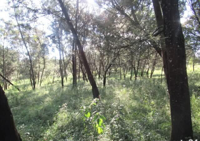 25-Acre Land with River Border
