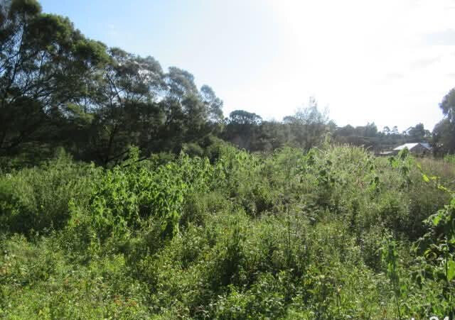25-Acre Land with River Border