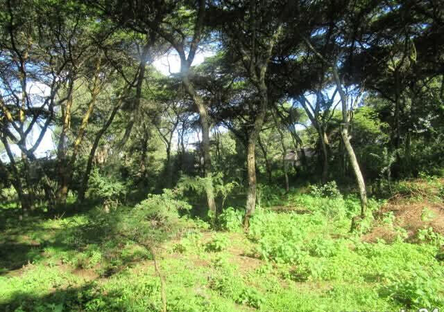 25-Acre Land with River Border