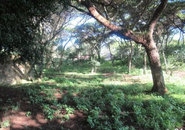 25-Acre Land with River Border