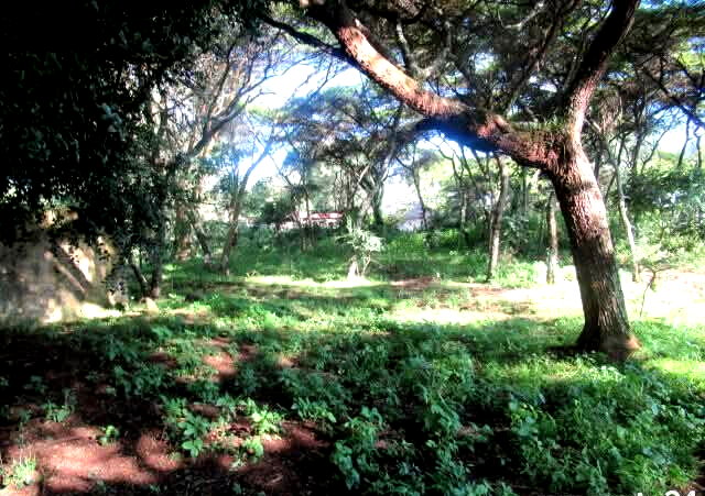 25-Acre Land with River Border
