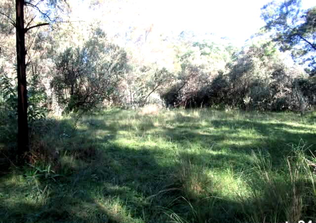 25-Acre Land with River Border