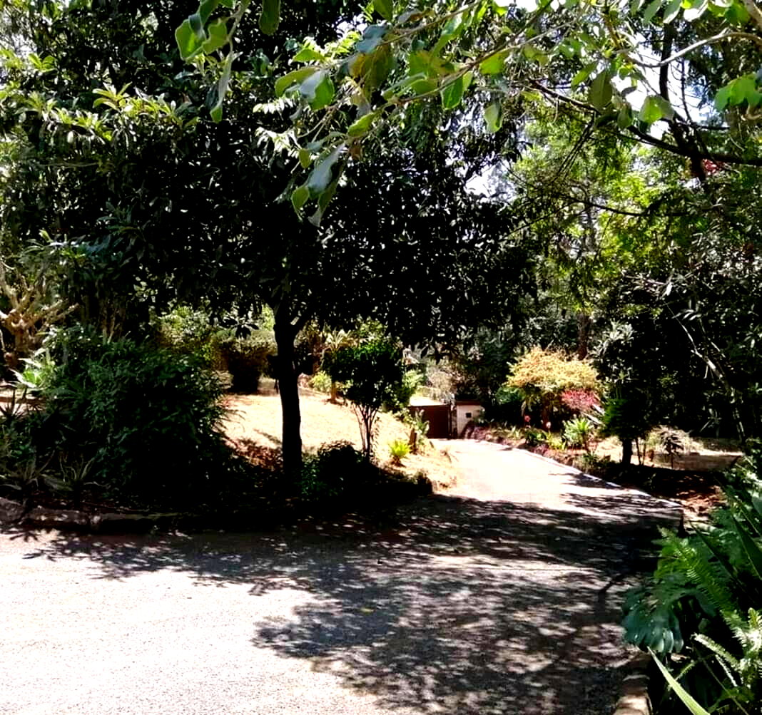 Half Acre 4BR Haven at KSh 280K