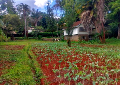 3/4 Acre Kyuna Plot for Sale