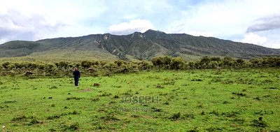 Naivasha Blocks of 10acres Next to Kedong Ranch House - Image 3