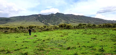Naivasha Blocks of 10acres Next to Kedong Ranch House - Image 7