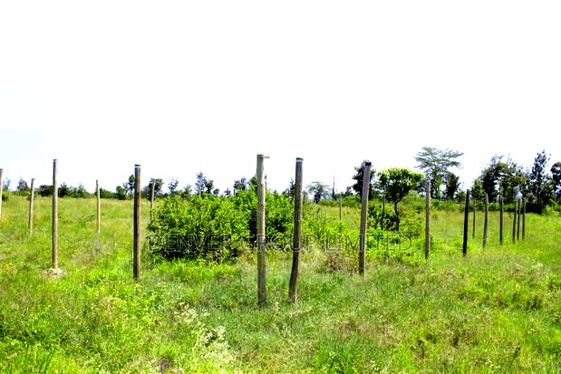 Kamulu Plots Drumvale Greens Estate