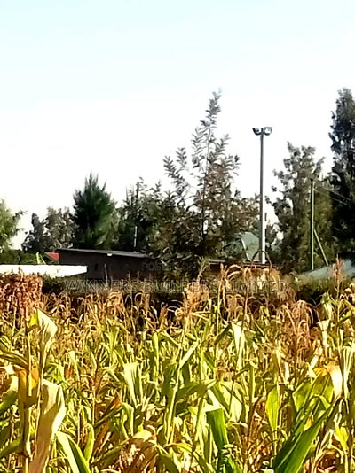 Selling 100*100 Plot at Kangundo Road Block 10 - Image 9