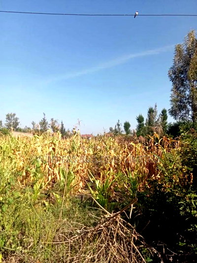 Selling 100*100 Plot at Kangundo Road Block 10 - Image 3