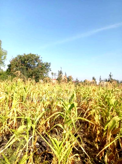 Selling 100*100 Plot at Kangundo Road Block 10 - Image 5