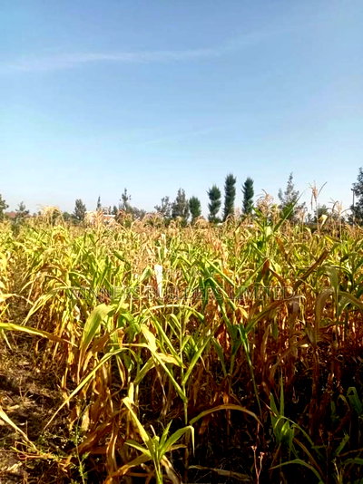 Selling 100*100 Plot at Kangundo Road Block 10 - Image 7