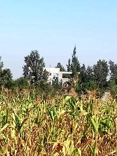 Selling 100*100 Plot at Kangundo Road Block 10 - Image 4