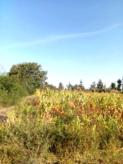 Selling 100*100 Plot at Kangundo Road Block 10 - Image 6