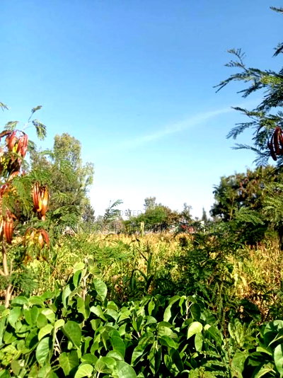 Selling 100*100 Plot at Kangundo Road Block 10 - Image 8