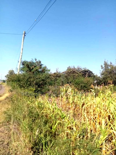 Selling 100*100 Plot at Kangundo Road Block 10 - Image 2