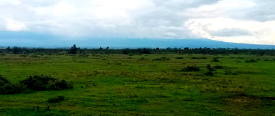 100-Acre Garden Land with Parking at KSh 2.8M