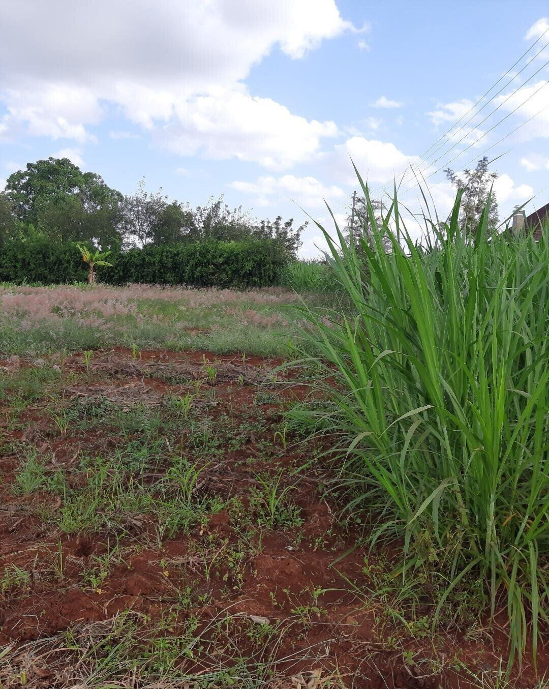 0.17 Acre Garden Plot with Parking - Thika