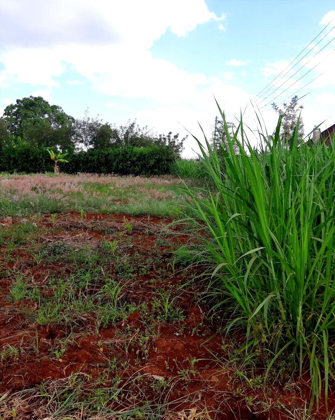 0.17 Acre Garden Plot with Parking - Thika